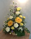 Front Facing Arrangement
