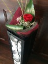 Single Red Rose